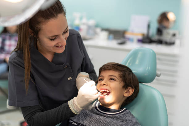 Best Emergency Dental Services for Seniors in Stafford Courthouse, VA