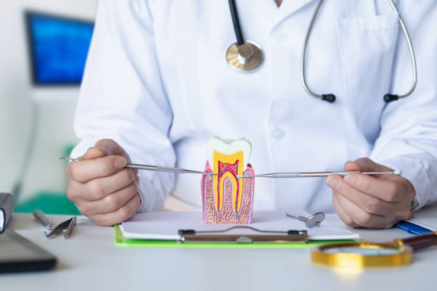 Best Emergency Dentist for Lost Fillings or Crowns in Stafford Courthouse, VA
